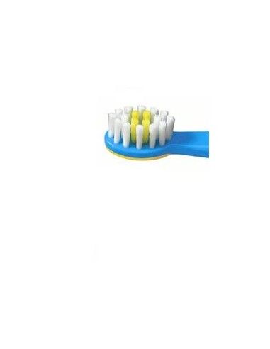 Elmex Spazzolino Educativo - Morbido per Bambini 0-3 anni + Tubetto dentifricio 1 spazzolino + 1 tubo di dentifricio da 12 ml